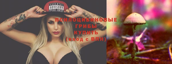гашик Верхний Тагил