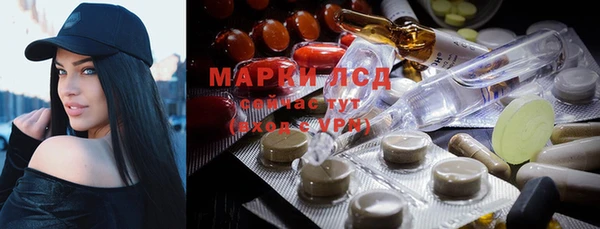 спиды Верея