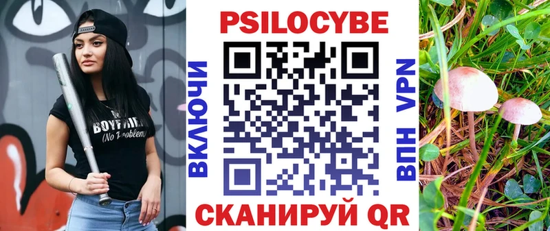 Псилоцибиновые грибы GOLDEN TEACHER  Дмитриев 